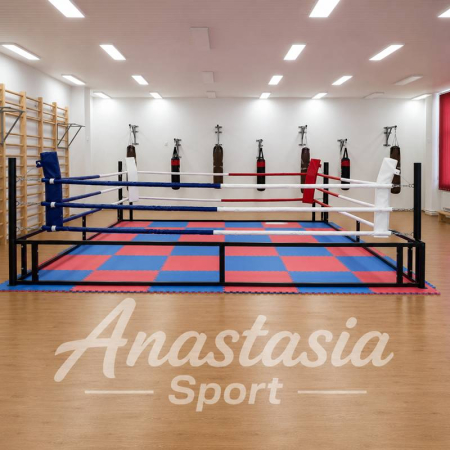 Foldable boxing ring 5×5 m [2]