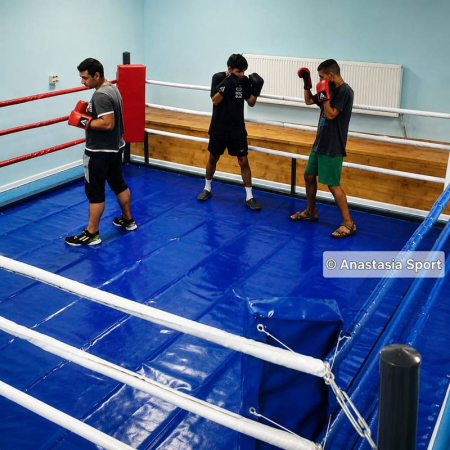 Boxing ring training 4 х 4 м [1]