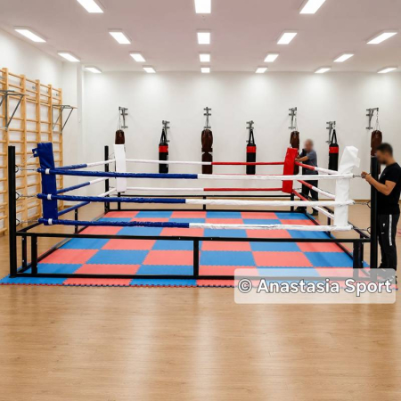 Boxing ring training 4 х 4 м