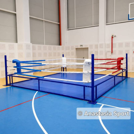 Boxing ring training 4 х 4 м [2]