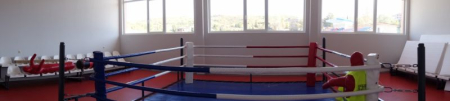 Boxing ring training 4 х 4 м [1]