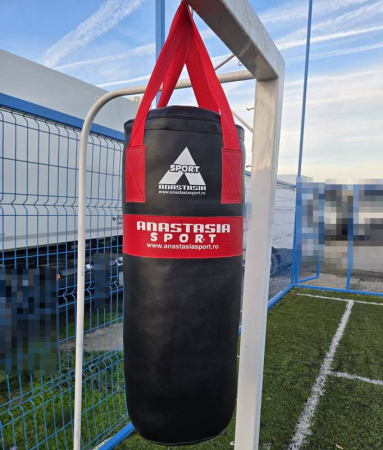 PUNCHING BAG AND GLOVES FOR JUNIORS [10]