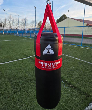 PUNCHING BAG AND GLOVES FOR JUNIORS [2]