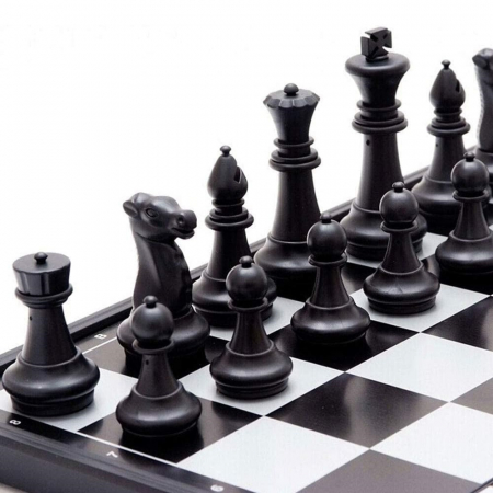 Chess MASTER magnetic - 25 x 25 cm [2]