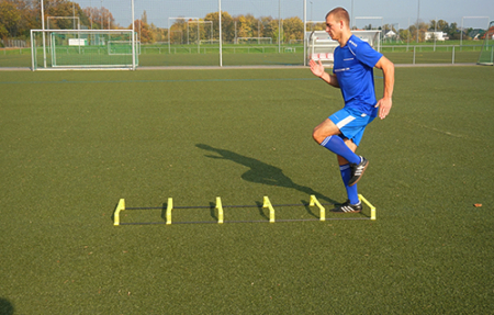 T-PRO hurdle ladder (foldable) - 6 rungs [5]