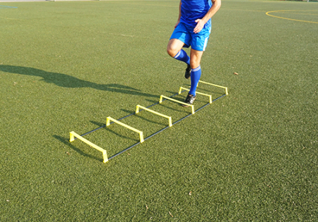 T-PRO hurdle ladder (foldable) - 6 rungs [6]