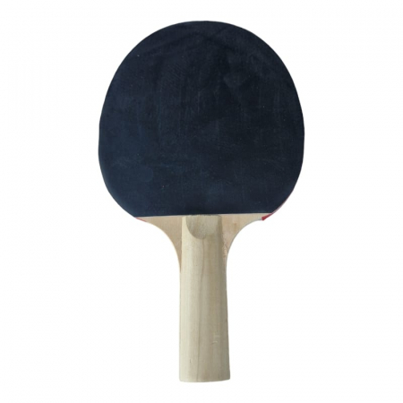 Set 2 palete tenis masa Master + 3 mingi si husa [7]