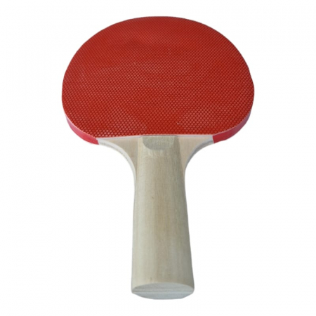 Set 2 palete tenis masa Master + 3 mingi si husa [4]