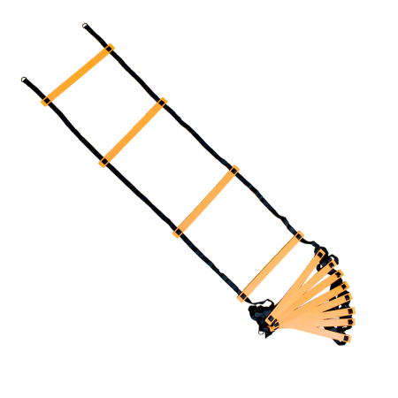 Training set: 10 gymnastic hoops, set of 5 hurdles, 50 sticks/bars, 8 cones + 4 batons, 1 ladder [6]
