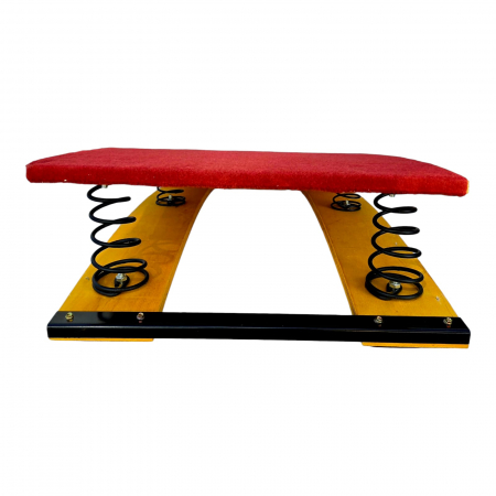 Gymnastic trampoline with springs [1]