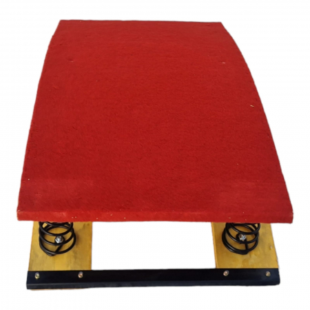 Gymnastic trampoline with springs [5]