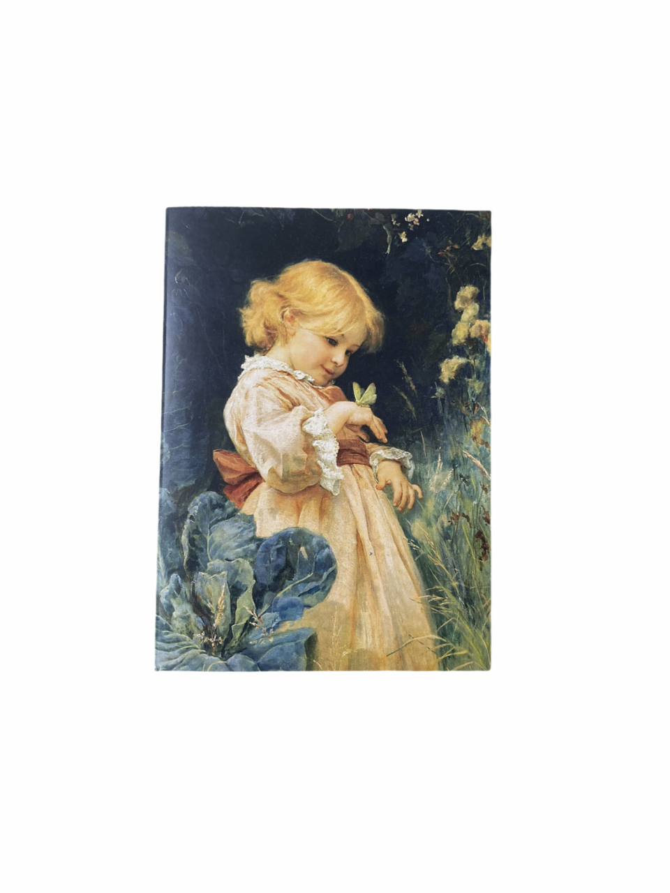 Blocnotes A6 Butterfly [1]