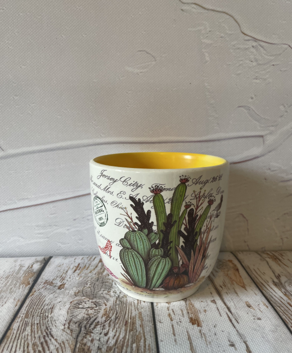 Ghiveci alb cu interior galben Cactus [3]