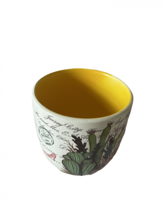 Ghiveci alb cu interior galben Cactus [2]