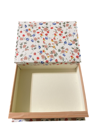 Cutie din Carton Carte 3 [1]