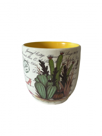Vaze și ghivece - Ghiveci alb cu interior galben Cactus