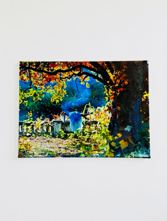 Tablou My Forest [2]