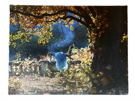 Tablouri - Tablou My Forest