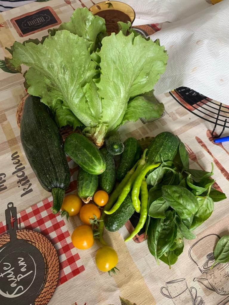 2 Reguli de a ronțăi corect