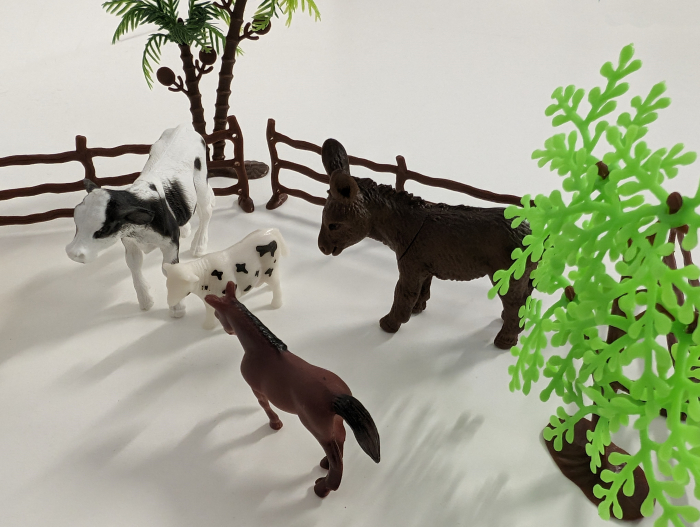 Animale domestice - Ferma [6]