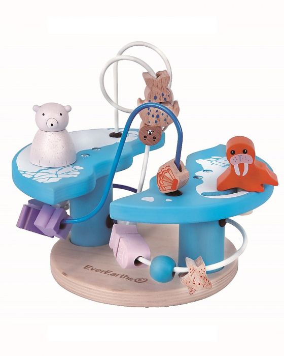 Circuit motricitate. Animale polare [2]