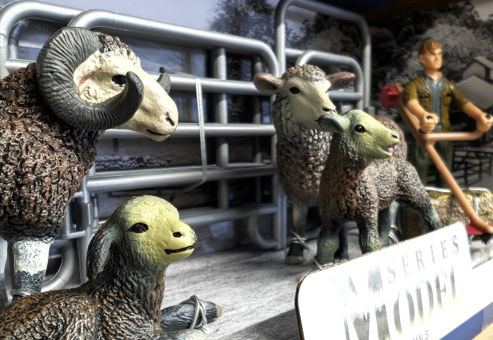 Ferma cu oi  - colectia The World of Animals [5]