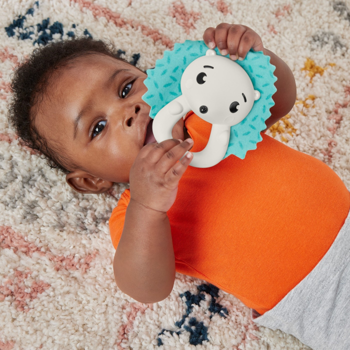 FISHER PRICE JUCARIE ZORNAITOARE ARICI [5]