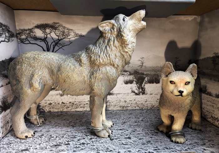 Lup si puiul- colectia The World of Animals [2]