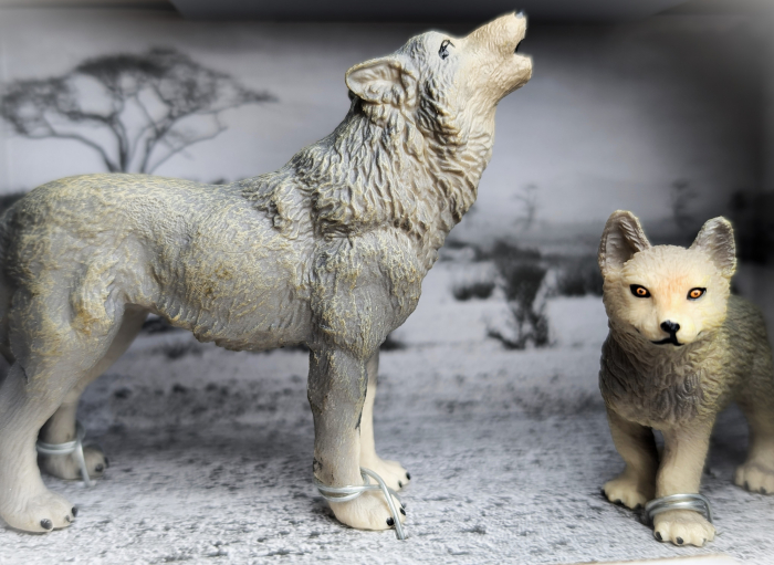 Lup si puiul- colectia The World of Animals [5]