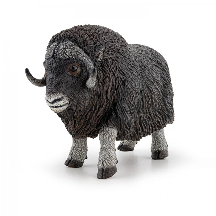 PAPO FIGURINA BOUL MOSCAT [1]