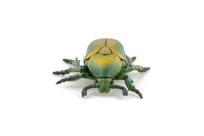 PAPO FIGURINA CARABUS [7]