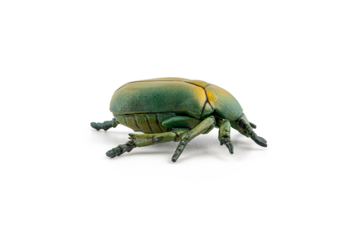 PAPO FIGURINA CARABUS [5]