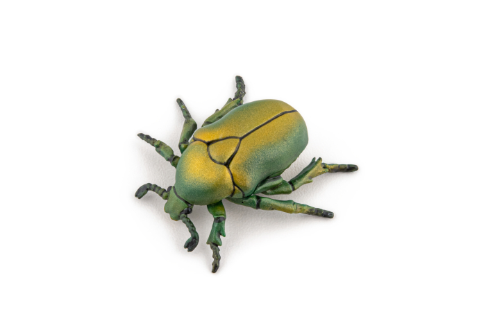 PAPO FIGURINA CARABUS [2]