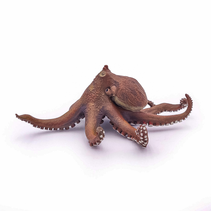 PAPO FIGURINA CARACATITA [5]