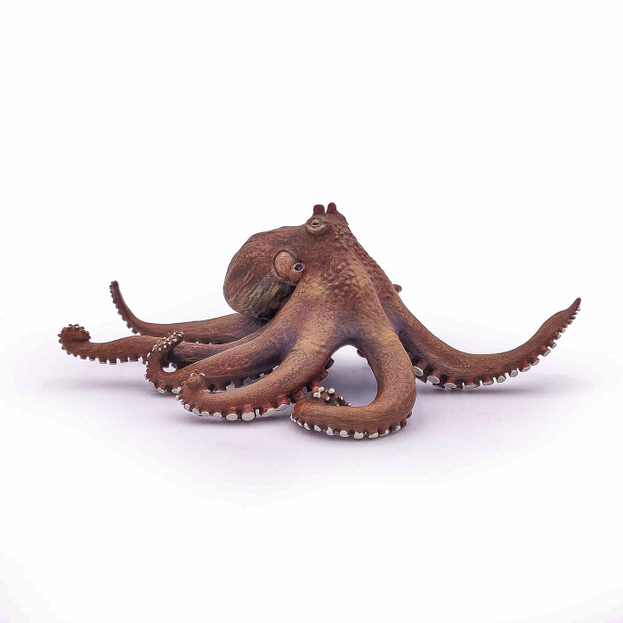 PAPO FIGURINA CARACATITA [3]