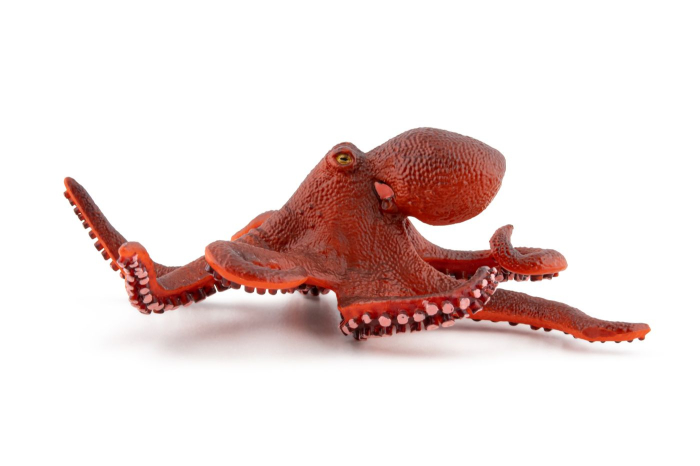 PAPO FIGURINA CARACATITA MICA [5]