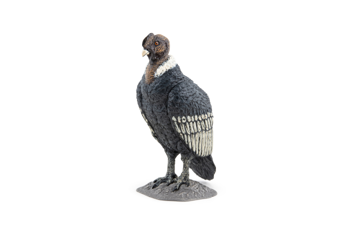 PAPO FIGURINA CONDOR [5]