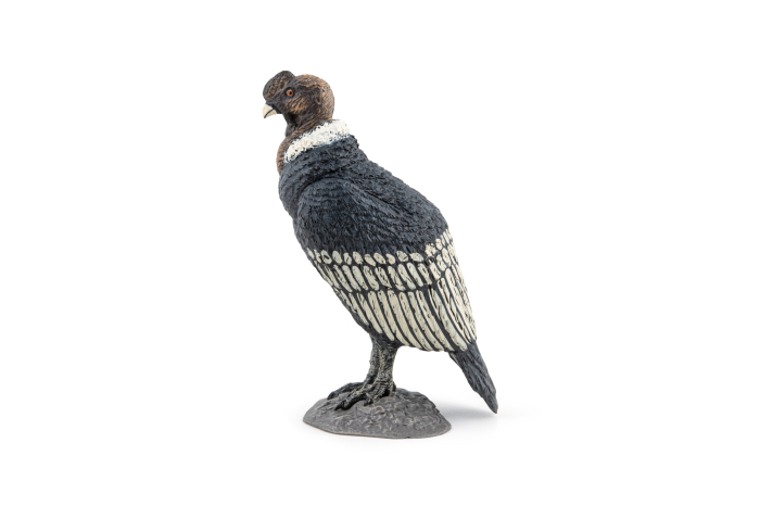 PAPO FIGURINA CONDOR [6]