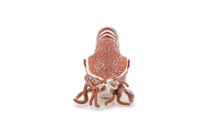 PAPO FIGURINA NAUTILUS [3]
