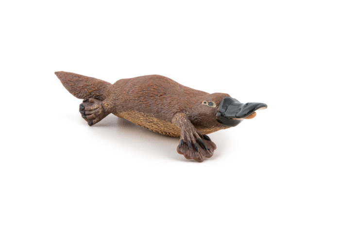 PAPO FIGURINA ORNITORINC [5]