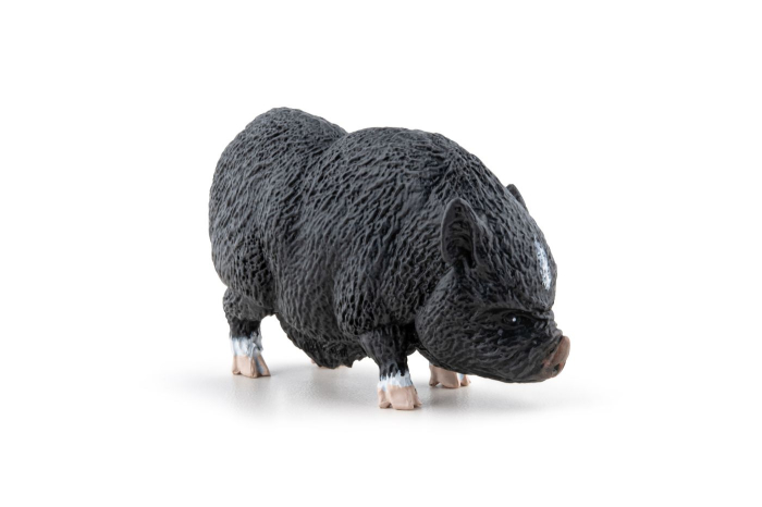 PAPO FIGURINA PORC VIETNAMEZ [3]