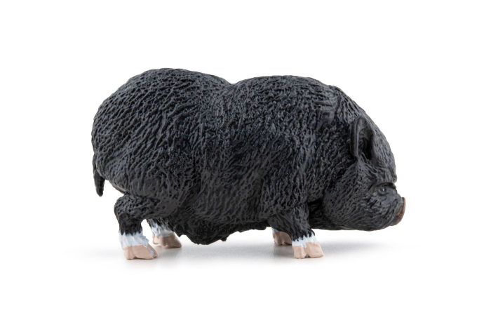 PAPO FIGURINA PORC VIETNAMEZ [2]