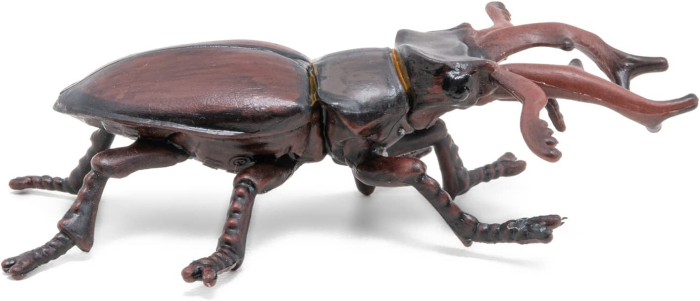 PAPO FIGURINA RADASCA [2]