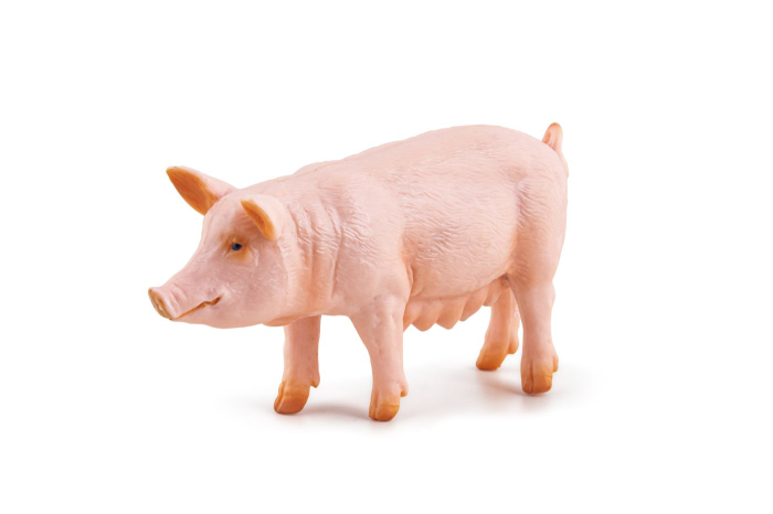 PAPO FIGURINA SCROAFA [5]