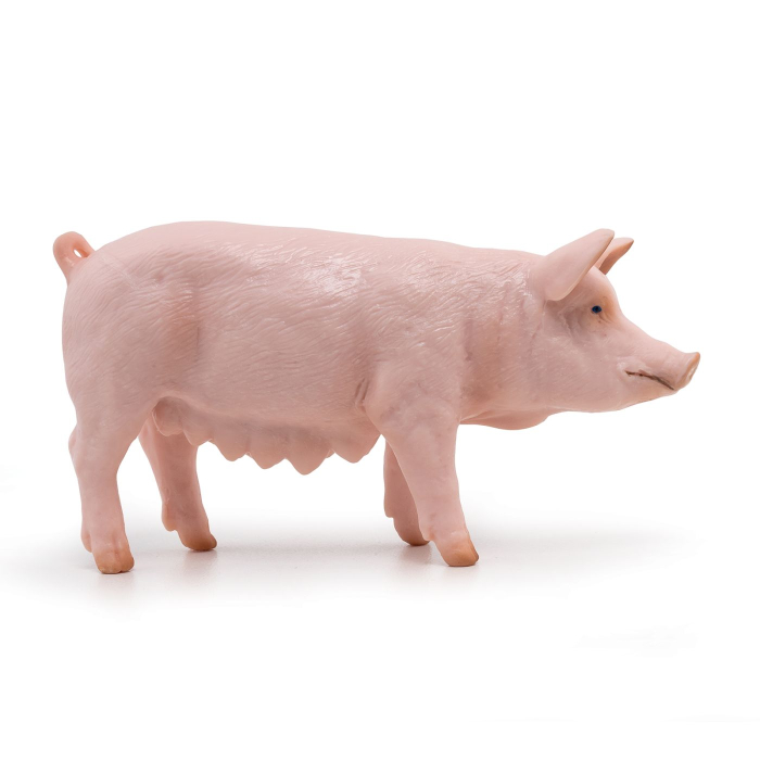 PAPO FIGURINA SCROAFA [1]