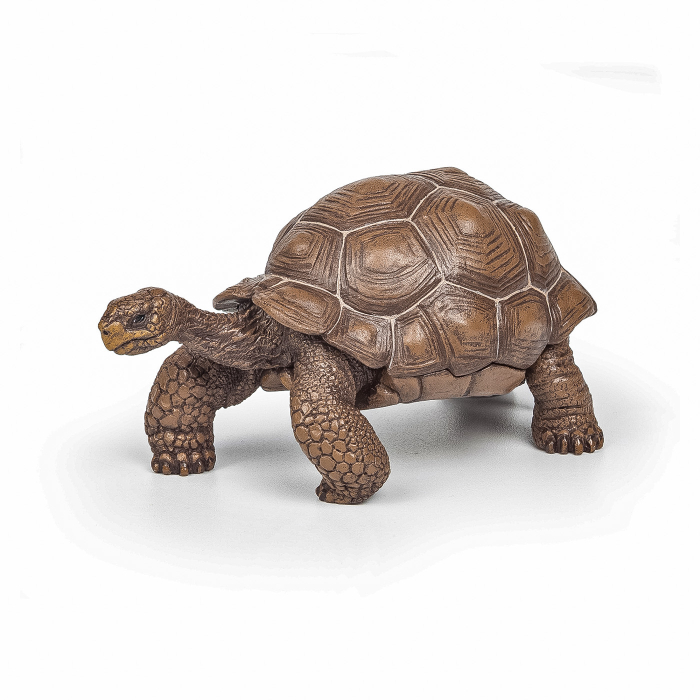 PAPO FIGURINA TESTOASA GALAPAGOS [1]