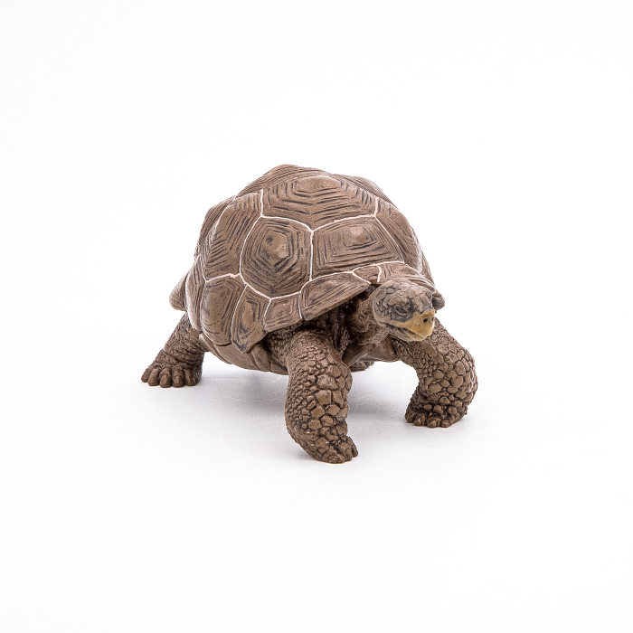 PAPO FIGURINA TESTOASA GALAPAGOS [5]