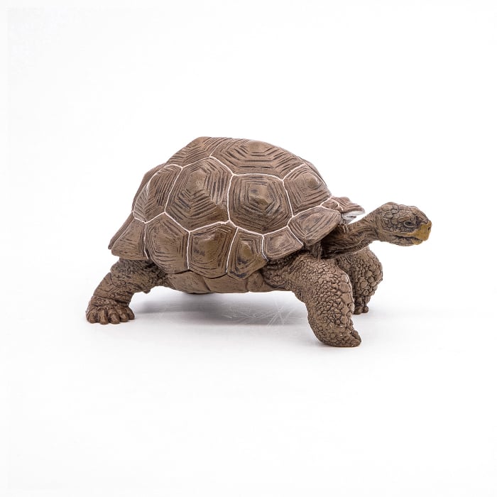 PAPO FIGURINA TESTOASA GALAPAGOS [4]