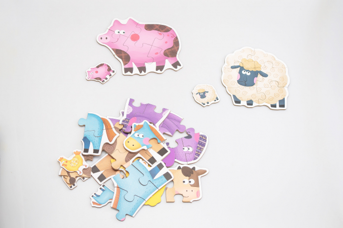 Puzzle 6-in-a-box Animale domestice [5]