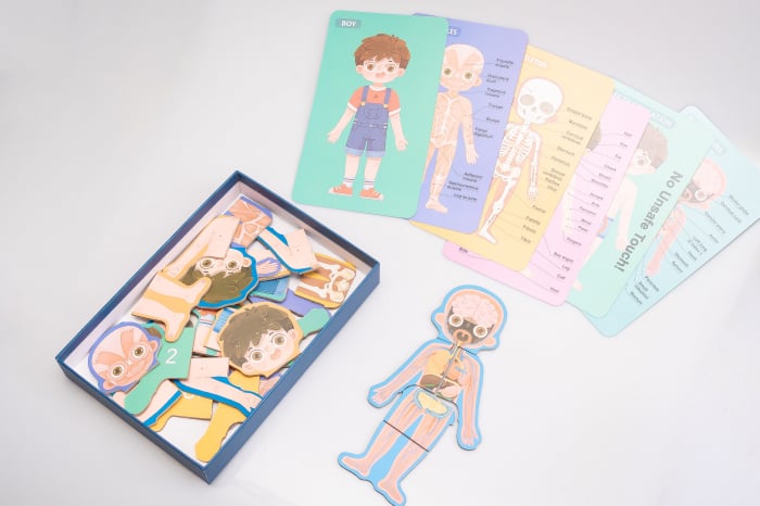 Puzzle educativ. Anatomia corpului omenesc. Baietel [4]